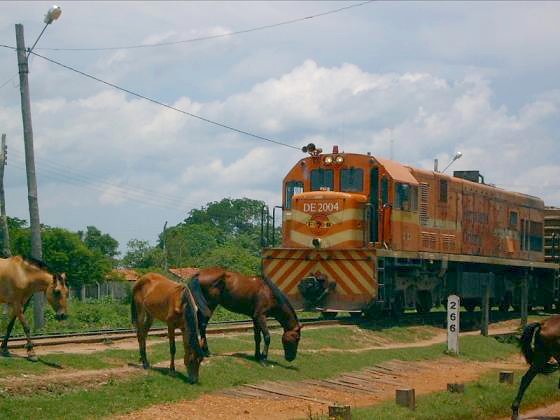 Bolivia Rail